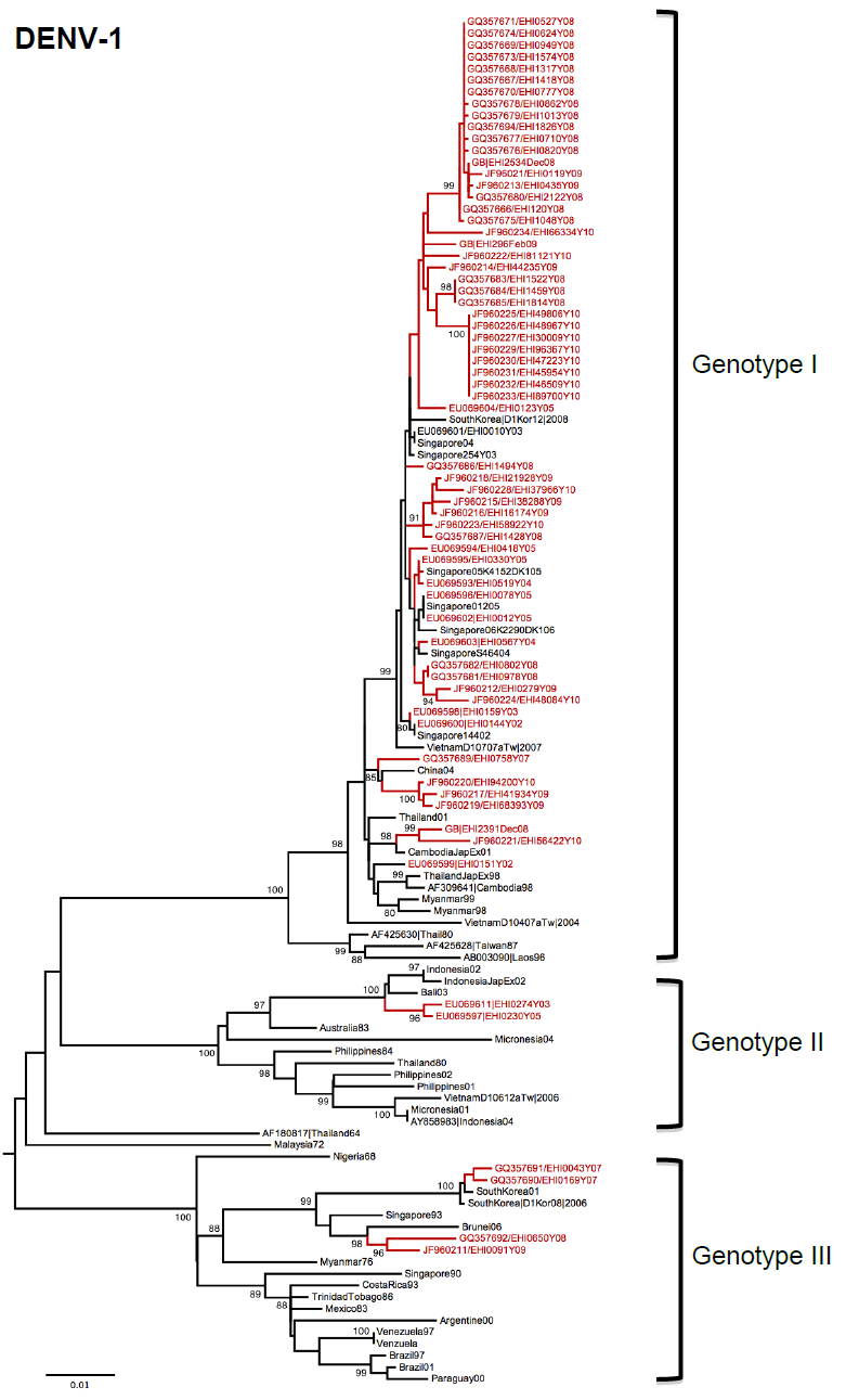 DENV-1
